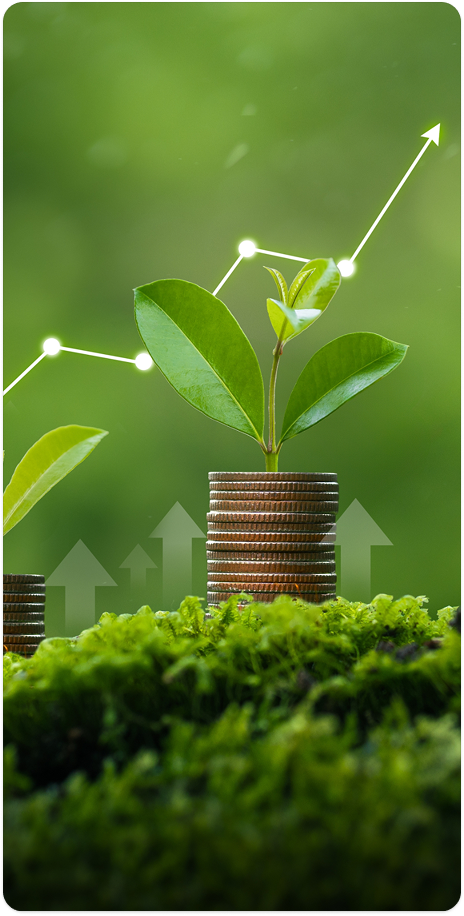 Investment Advisory Services